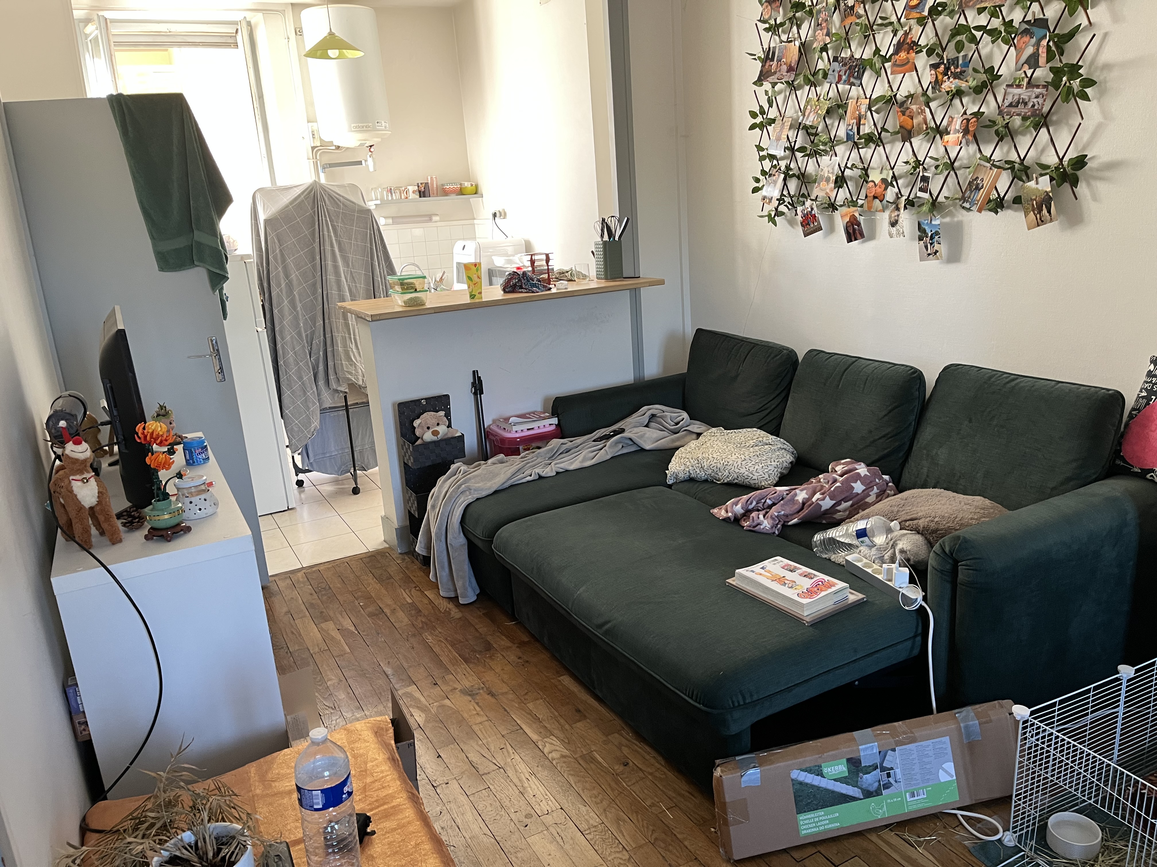 Appartement T3 65 m² à louer à Toulouse Saint-Cyprien — Briques foraines — photo 2